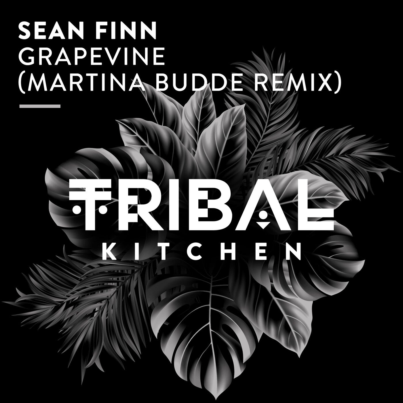 Sean Finn – Grapevine (Martina Budde Extended Remix) [Tribal Kitchen]