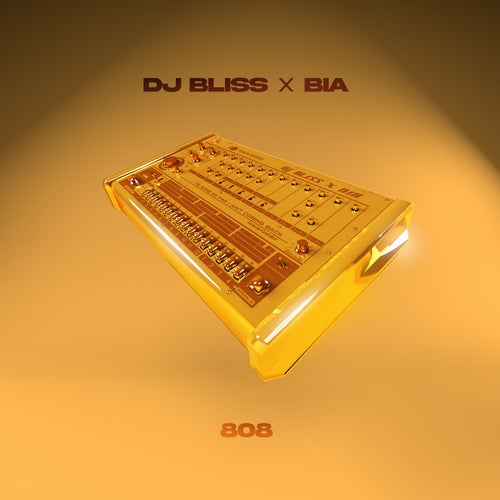 DJ Bliss & Bia – 808 (TMU Urban Intro) (Dirty) 124