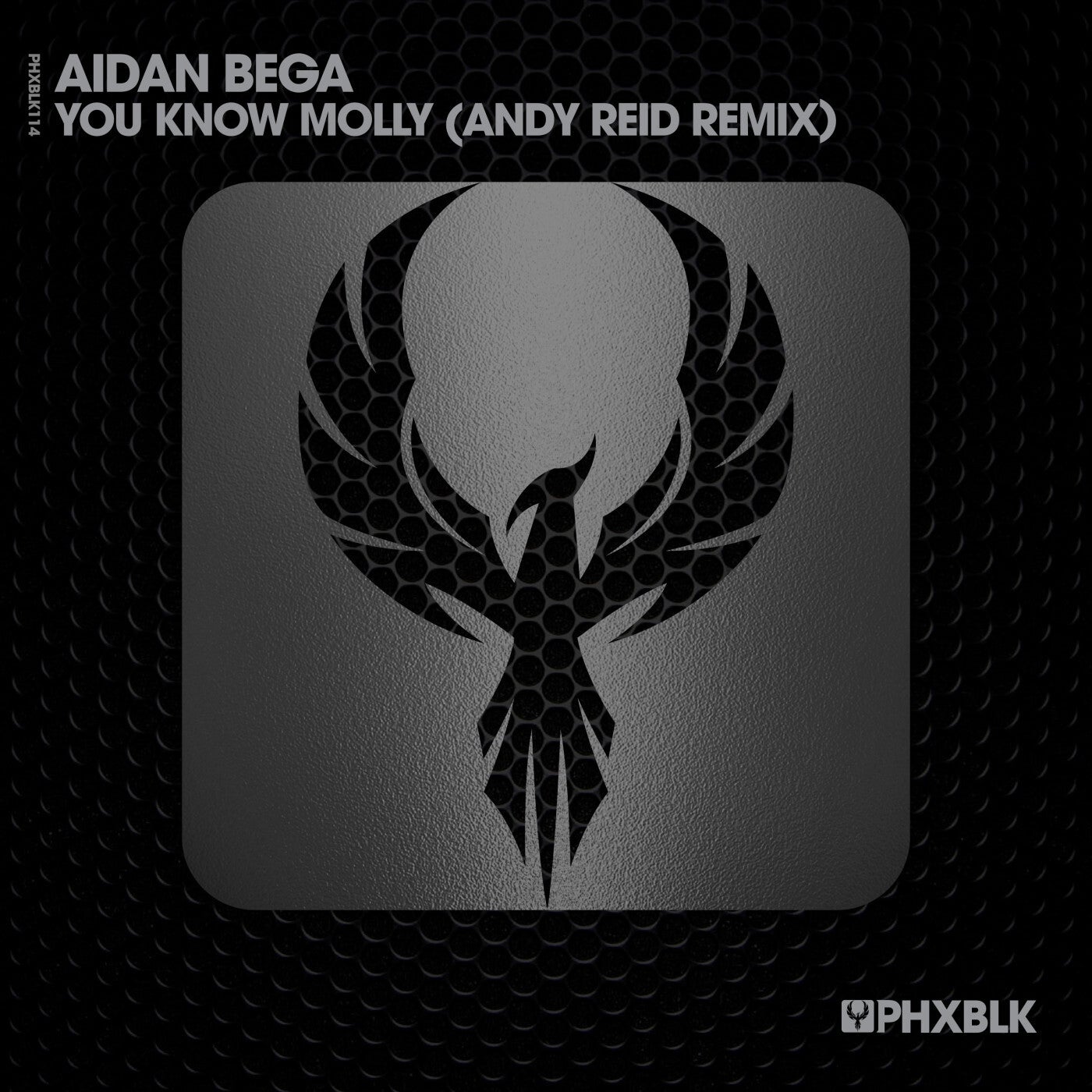 Aidan Bega – You Know Molly (Andy Reid Remix) [PHXBLK]