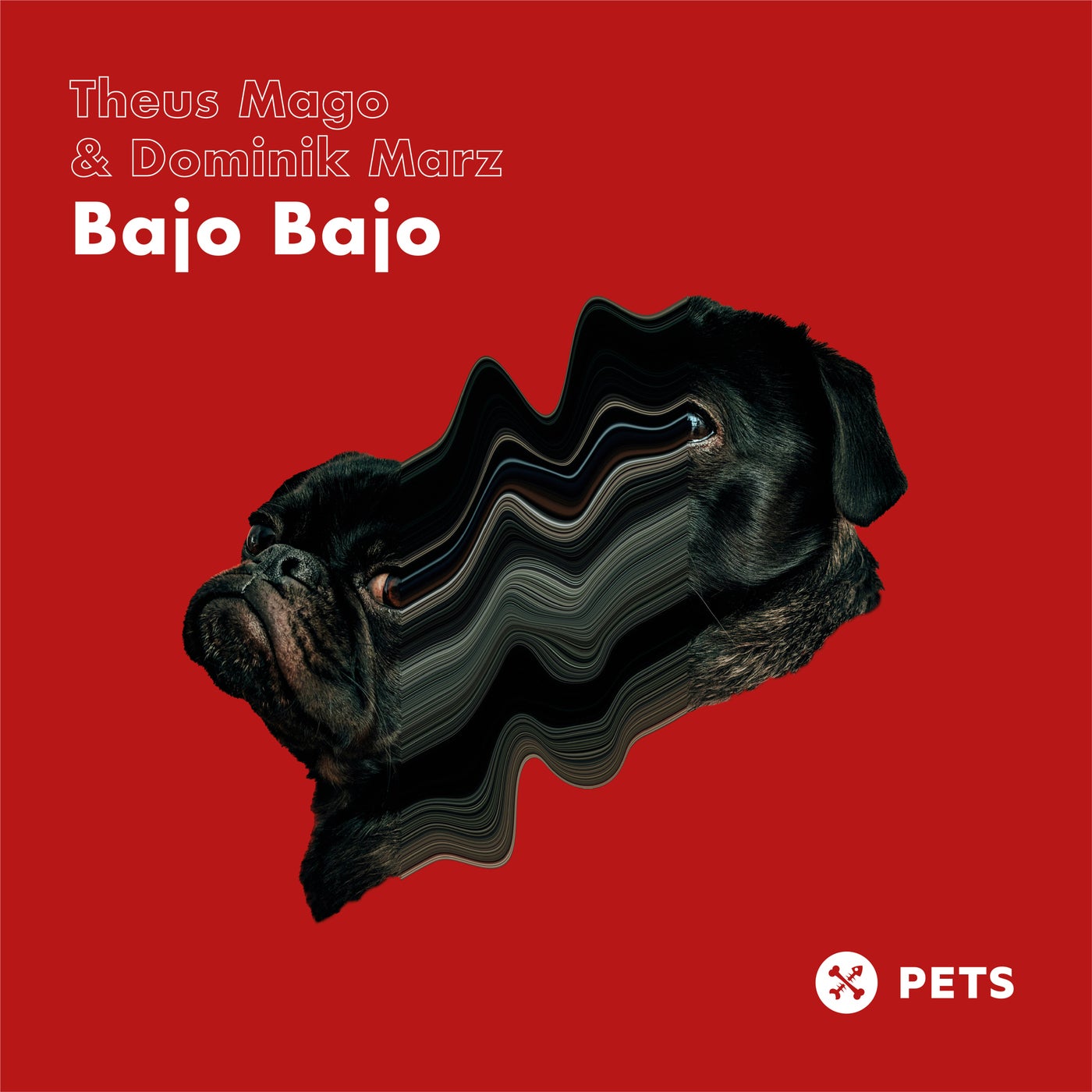 Dominik Marz, Theus Mago – Bajo Bajo (Original Mix) [Pets Recordings]