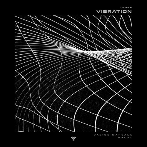 Davide Marsala, HALOZ – Vibration (Original Mix) [TORO REC]