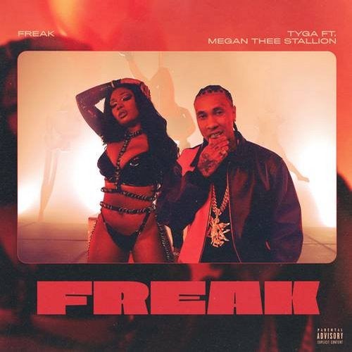 Megan Thee Stallion – Like A Freak – Nate The DJ Hype Intro (Dirty)